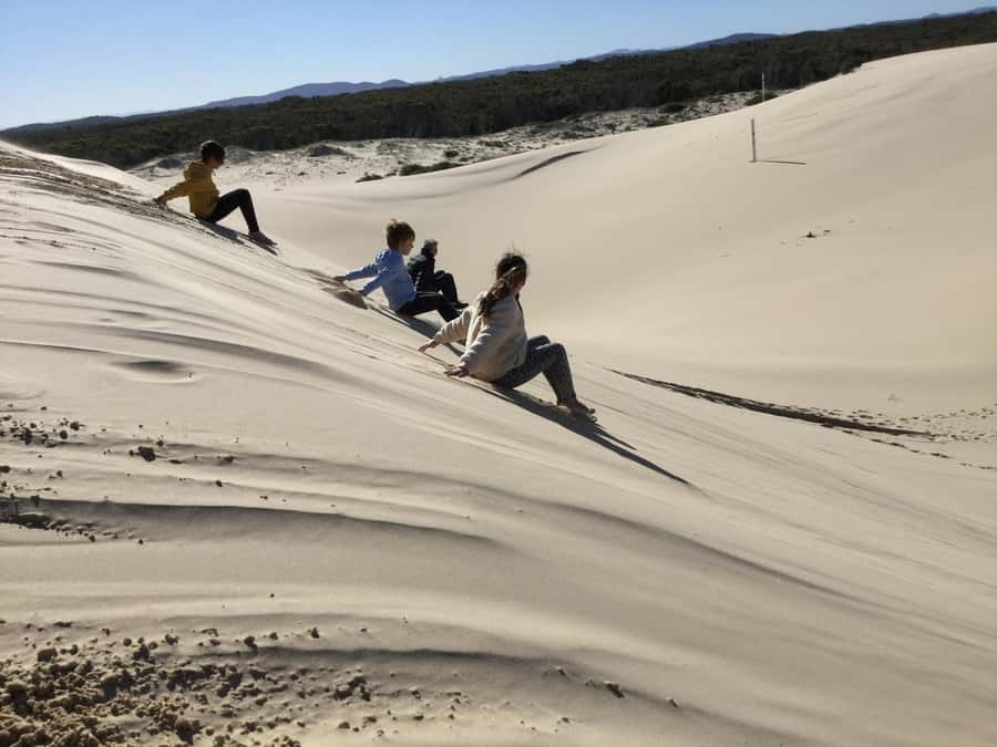 Port Stephens: Stockton Sand Dunes 4WD Tag-Along Tour - Tomaree National Park and Worimi Conservation Lands: seeing more than just dunes