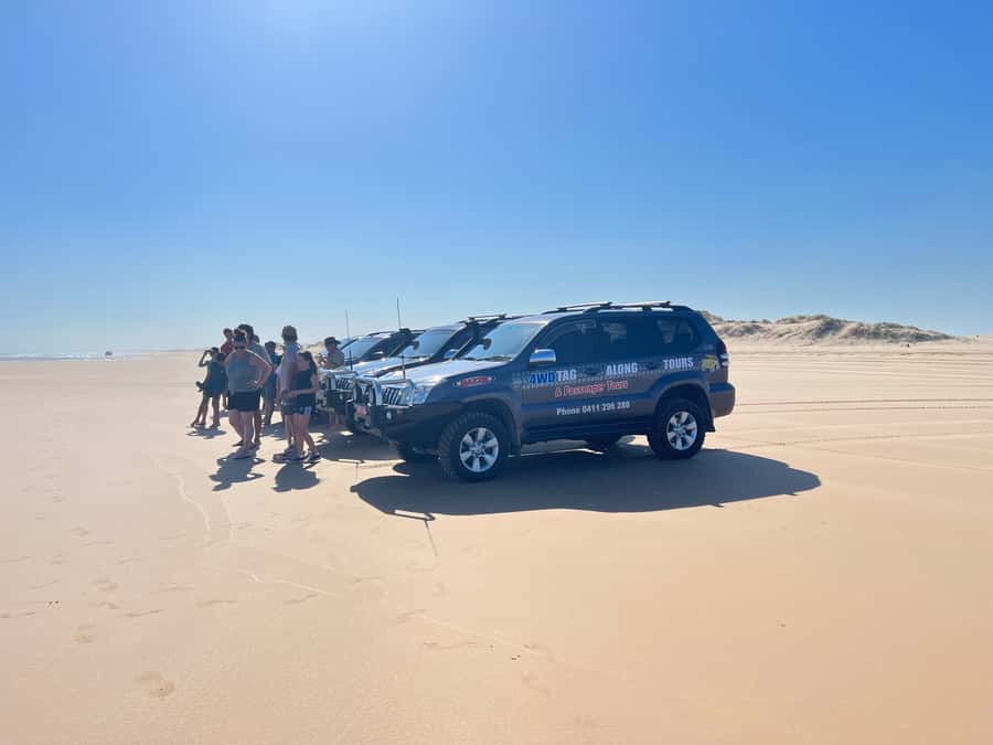 Port Stephens: Stockton Sand Dunes 4WD Tag-Along Tour - Sandboarding and the view from the very top