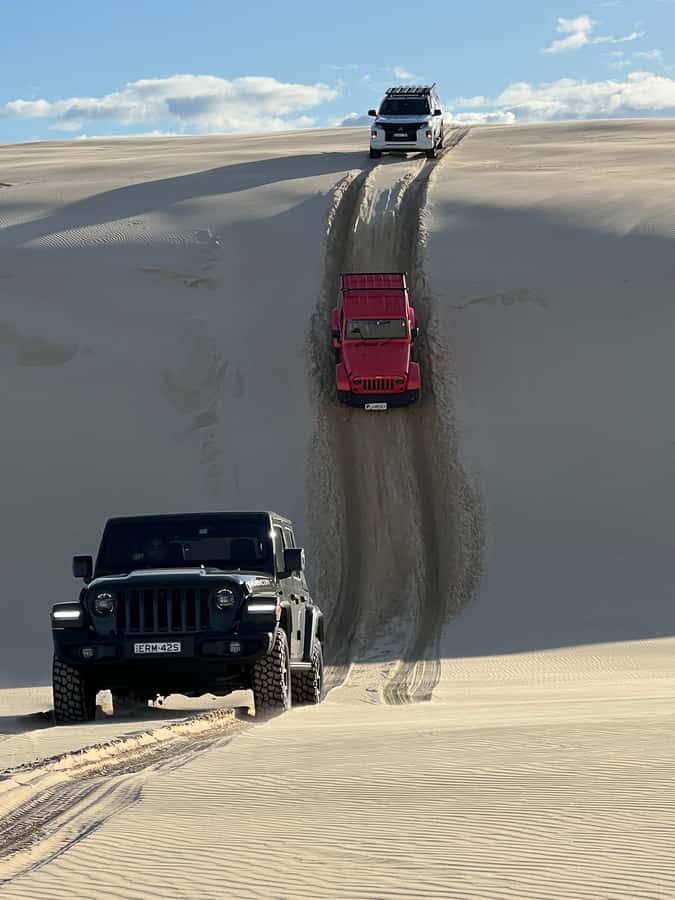 Port Stephens: Stockton Sand Dunes 4WD Tag-Along Tour - Who this tour suits (and who might feel uneasy)