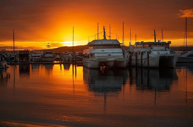 Port Stephens: Sunset on the Bay Cruise - Service, group size, and who this fits best