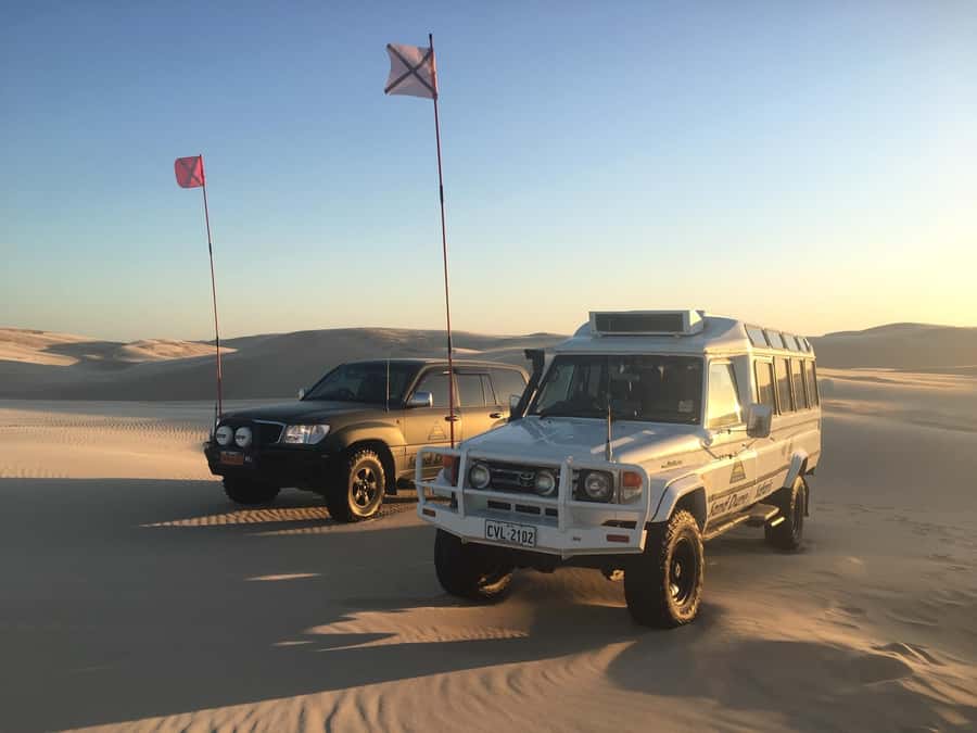 Port Stephens: Unlimited Sandboarding with 4WD Dune Transfer - Board choices that matter: sit-down, basic stand, Pro Stand, and tandem