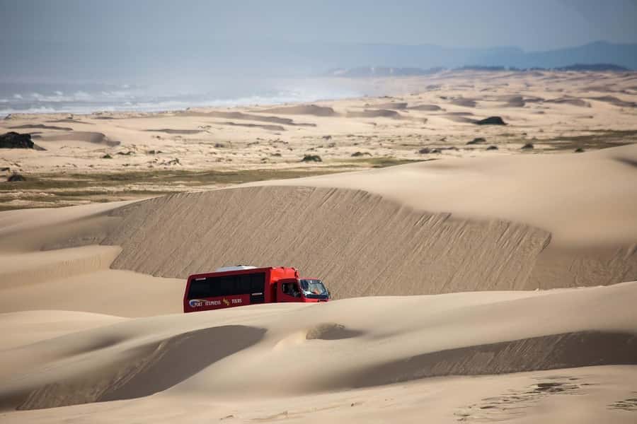 Port Stephens: Worimi National Park Sandboarding Adventure - Anna Bay Logistics: Where You Start and What to Expect