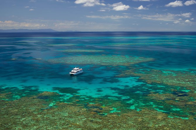 Poseidon Outer Great Barrier Reef Snorkeling and Diving Cruise from Port Douglas - The Poseidon setup: fast, practical, and built for getting in the water
