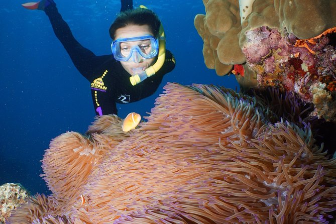 Poseidon Outer Great Barrier Reef Snorkeling and Diving Cruise from Port Douglas - Scuba on this trip: choose your level and manage your day