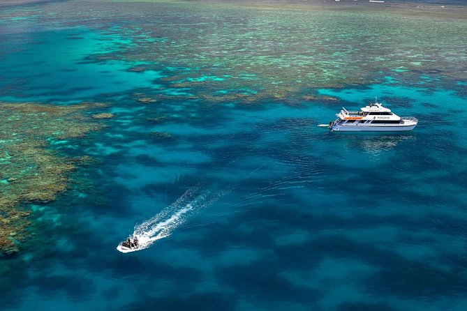 Poseidon Outer Great Barrier Reef Snorkeling and Diving Cruise from Port Douglas - Weather, seasickness, and what to bring
