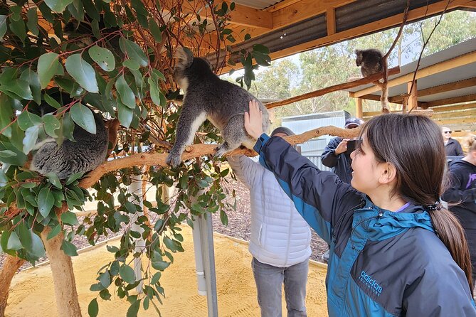 Premium 2 Day Kangaroo Island Minibus Tour from Adelaide - Food, tastings, and the way meals are handled across two days