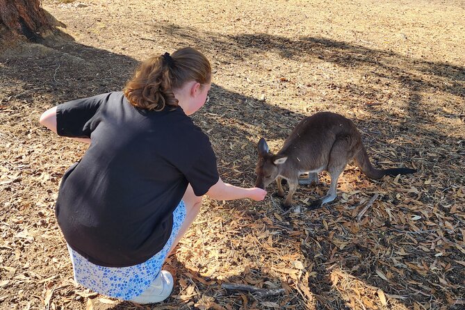 Premium Adelaide Hills Cleland Wildlife and Hahndorf Minibus Tour - Melba’s Chocolate: factory view and a sweet reset