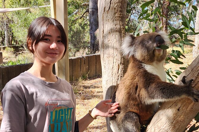 Premium Adelaide Hills Cleland Wildlife and Hahndorf Minibus Tour - Drive time back through the hills: how to enjoy the transfer