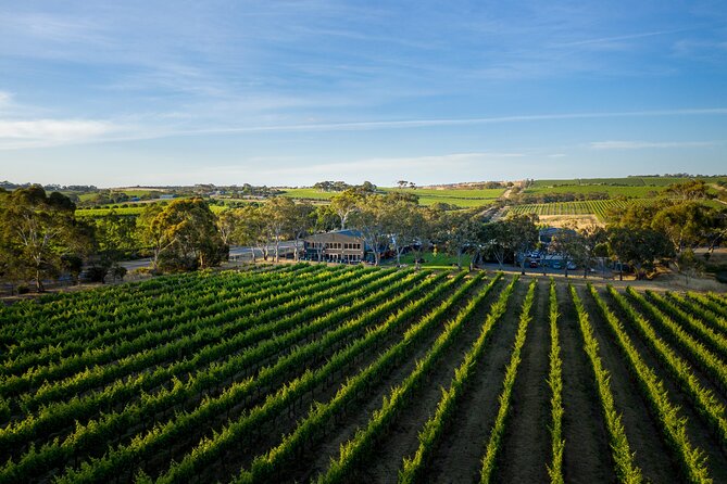 Premium All-Inclusive McLaren Vale Wine and Brew Minibus Tour - The Coastal Drive Home: Port Noarlunga to Christies Beach and a Glenelg Optional Stretch