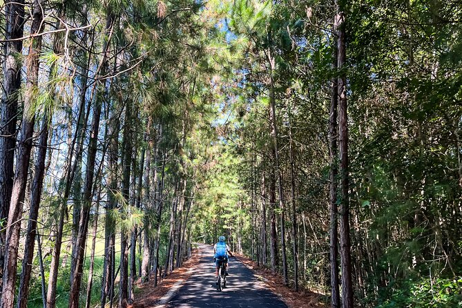 Premium E Bike Hire at the Northern Rivers Rail Trail - Premium e-bikes that make 44km feel manageable