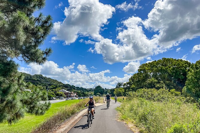 Premium E Bike Hire at the Northern Rivers Rail Trail - Lunch options: Hosanna alpacas or art-gallery dining