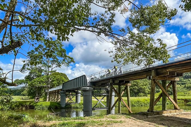 Premium E Bike Hire at the Northern Rivers Rail Trail - Who this is perfect for (and who should reconsider)