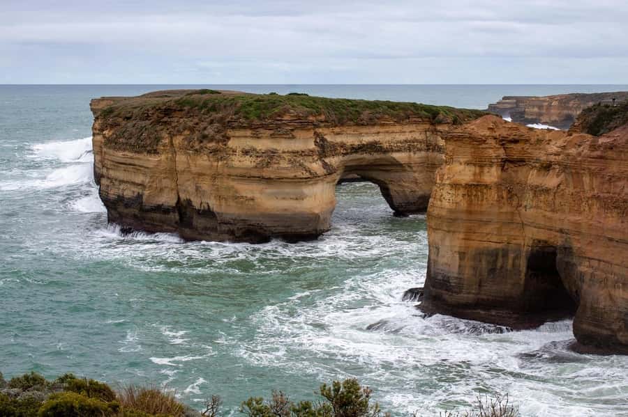 PREMIUM Great Ocean RD Tour REVRS-Luxry SML GRP-Hotel PickUP - Great Otway National Park: the guided rainforest walk you’ll remember