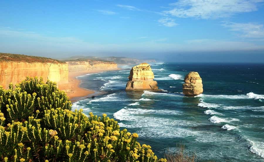 PREMIUM Great Ocean RD Tour REVRS-Luxry SML GRP-Hotel PickUP - Melbourne pickup to Colac: start with coffee, then get your bearings