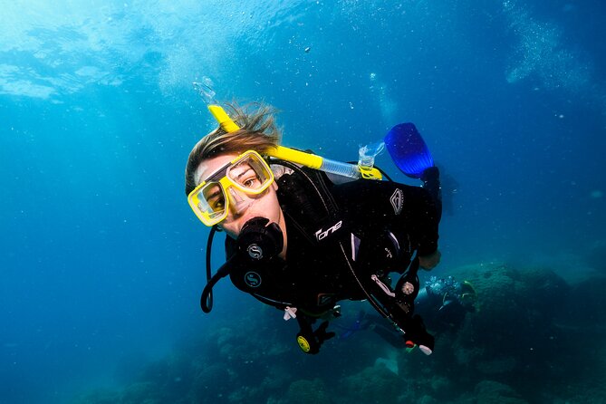 Premium Guided Dive Trip - Outer Great Barrier Reef - Rental scuba gear and onboard comfort that make the day easier