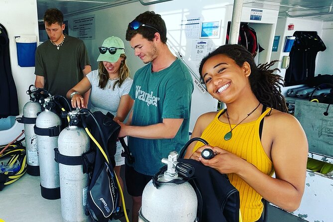 Premium Guided Dive Trip - Outer Great Barrier Reef - The ride back to Port Douglas: relive it and log it properly