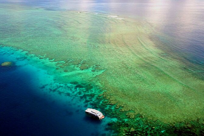 Premium Guided Dive Trip - Outer Great Barrier Reef - Should you book this Outer Great Barrier Reef scuba experience?
