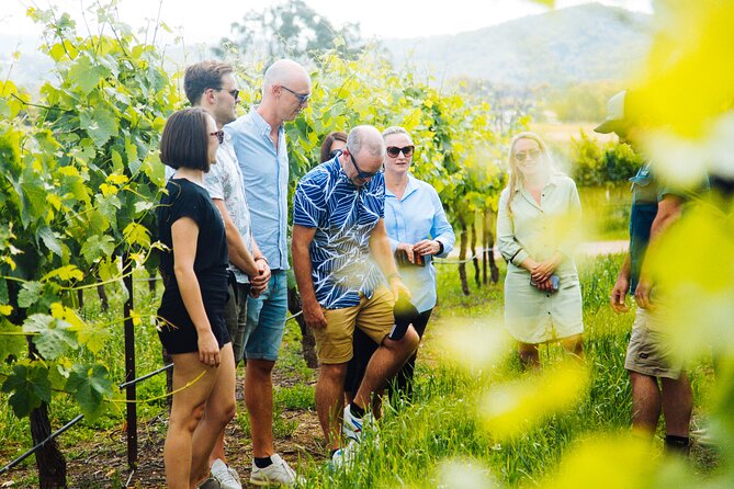 Premium Hunter Valley Wine Tour with Lunch from Sydney - Gin, vodka, and spirits: when it clicks and when it doesn’t
