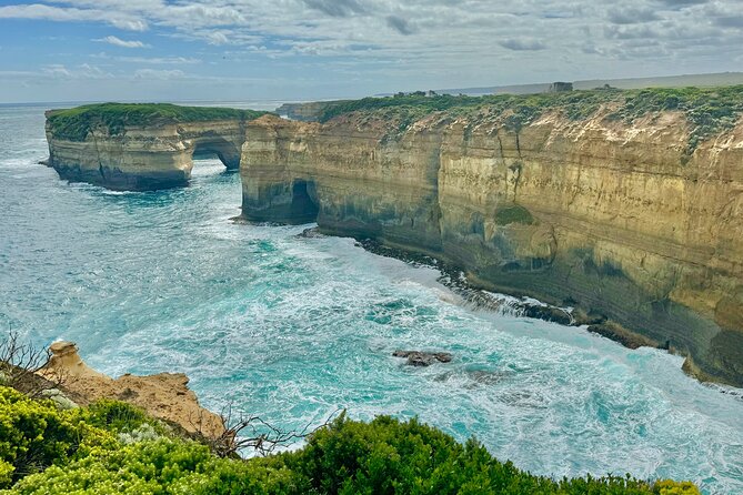 Premium Small Group Great Ocean Road & Wildlife with Lunch - Great Otway National Park: fast koala spotting (and how to make it count)