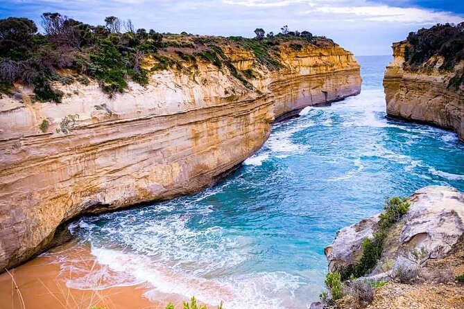 Premium Small Group Great Ocean Road & Wildlife with Lunch - The Anglesea kangaroo moment you’ll actually remember
