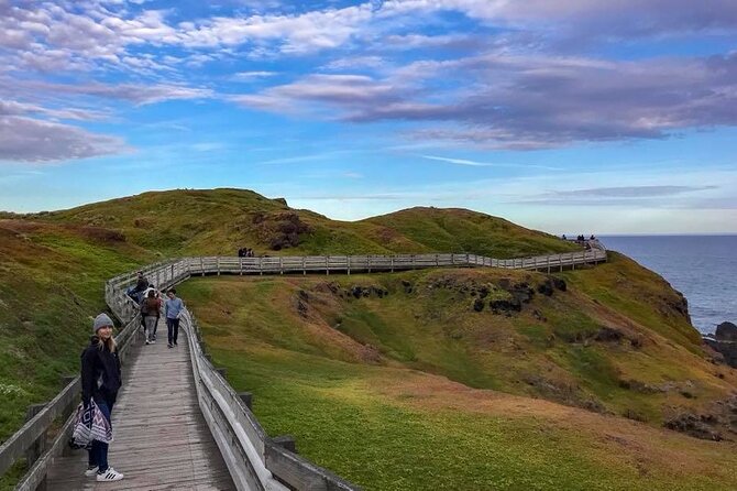Premium Small Group Philip Island eco Tour - Cowes dinner and the sea pier: the best break in the middle of the day