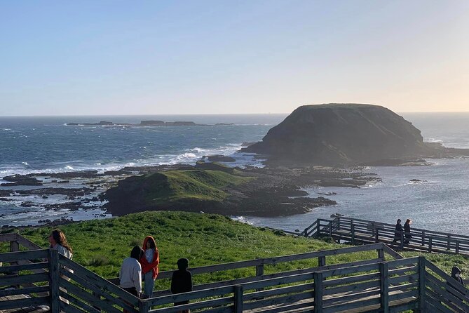 Premium Small Group Philip Island eco Tour - The Nobbies Centre: ocean views over Bass Strait