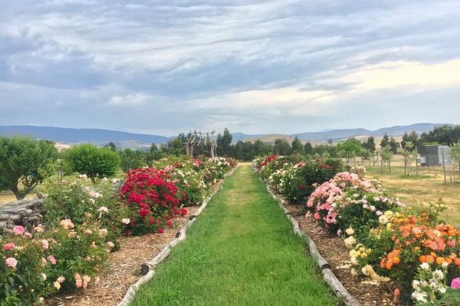 Premium Tour and Lunch Package for 2 - The four-spirit tasting: how to get more from it