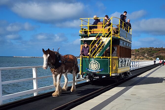 Premium Victor Harbor, Port Elliot and d'Arenberg Minibus Tour - Key Highlights You’ll Actually Care About