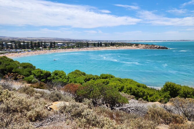 Premium Victor Harbor, Port Elliot and d'Arenberg Minibus Tour - The Coastal Stop at Boomer Beach (Plus a Seal-Watching Chance)