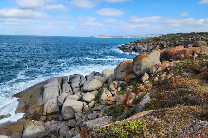 Premium Victor Harbor, Port Elliot and d'Arenberg Minibus Tour - Victor Harbor: Two Hours to Do Granite Island Your Way