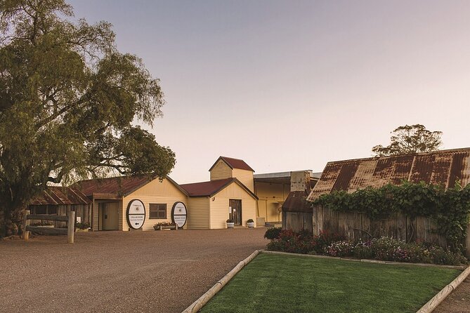 Premium Wine Tasting Experience in Pokolbin - How the 1-hour tasting flows: current wines, then the aged stuff