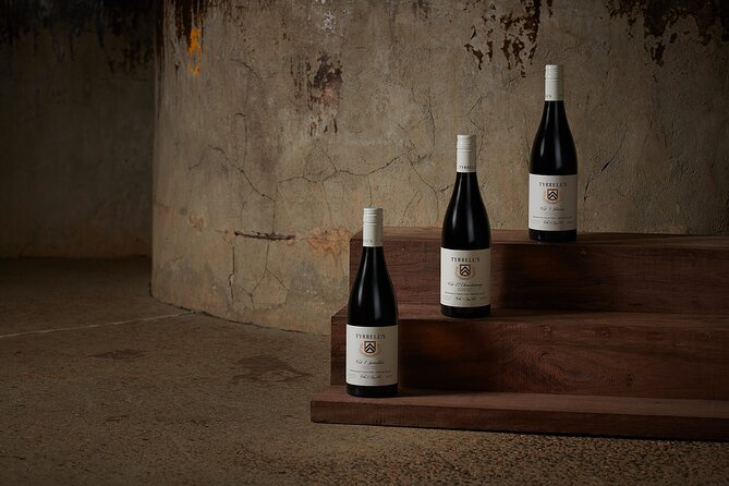 Premium Wine Tasting Experience in Pokolbin - Museum wines plus traditional cellar-door tone: the value math