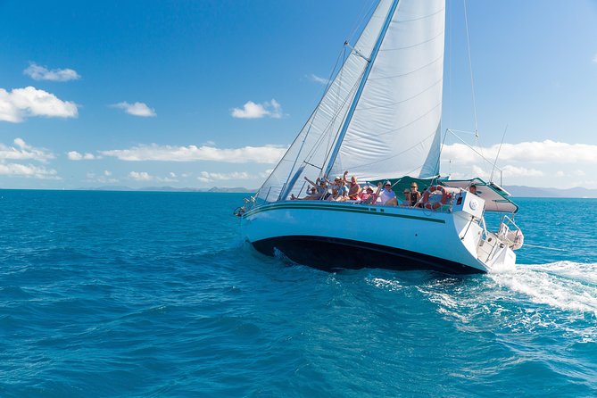 Prima - Overnight Sailing Experience of the Whitsundays - Price and value: where $393.77 makes sense