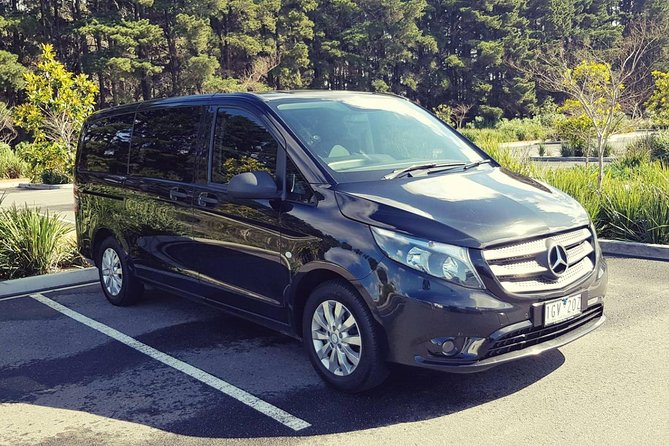 Private 12 Apostles Express Tour - Shorter - The Twelve Apostles: how to use your full hour well