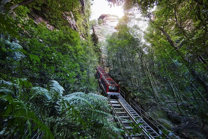 Private All Blue Mountains Day Tour - Sydney hotel pickup, Olympic Park drive, and truly private comfort