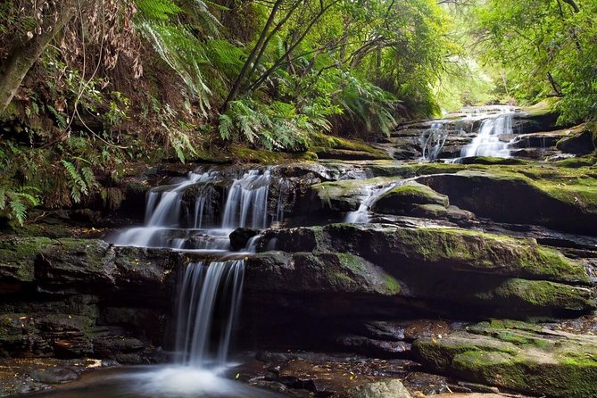 Private All Blue Mountains Day Tour - Scenic World: the optional 1-hour ride set and what it costs
