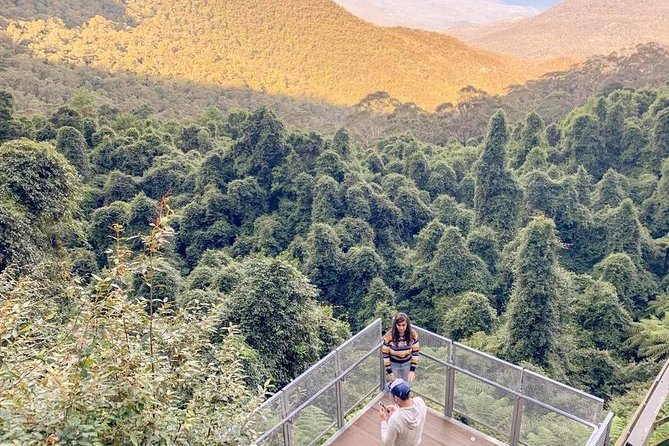 Private All Blue Mountains Day Tour - Echo Point Lookout and the Three Sisters: the photo moment with real payoff