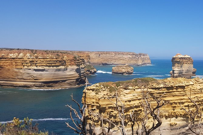 Private and Customised Great Ocean Road and Luxury Tour - Luxury Pickup From Melbourne, Plus Comfort That Matters on a Long Day