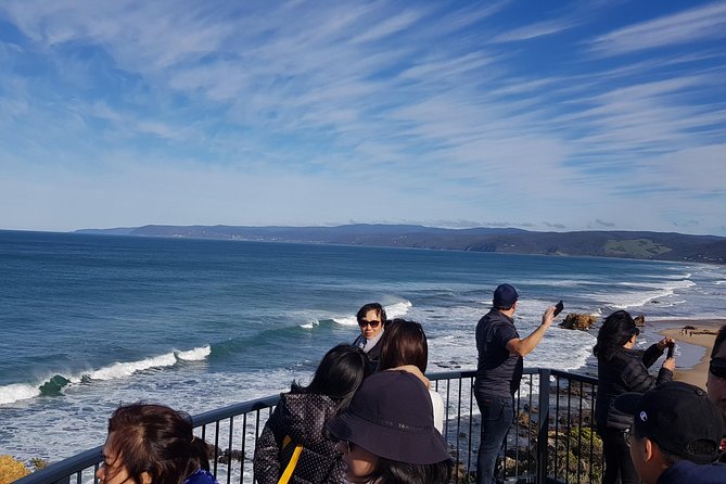 Private and Customised Great Ocean Road and Luxury Tour - Koala Country and Rainforest: Nature Stops That Aren’t Just Stops