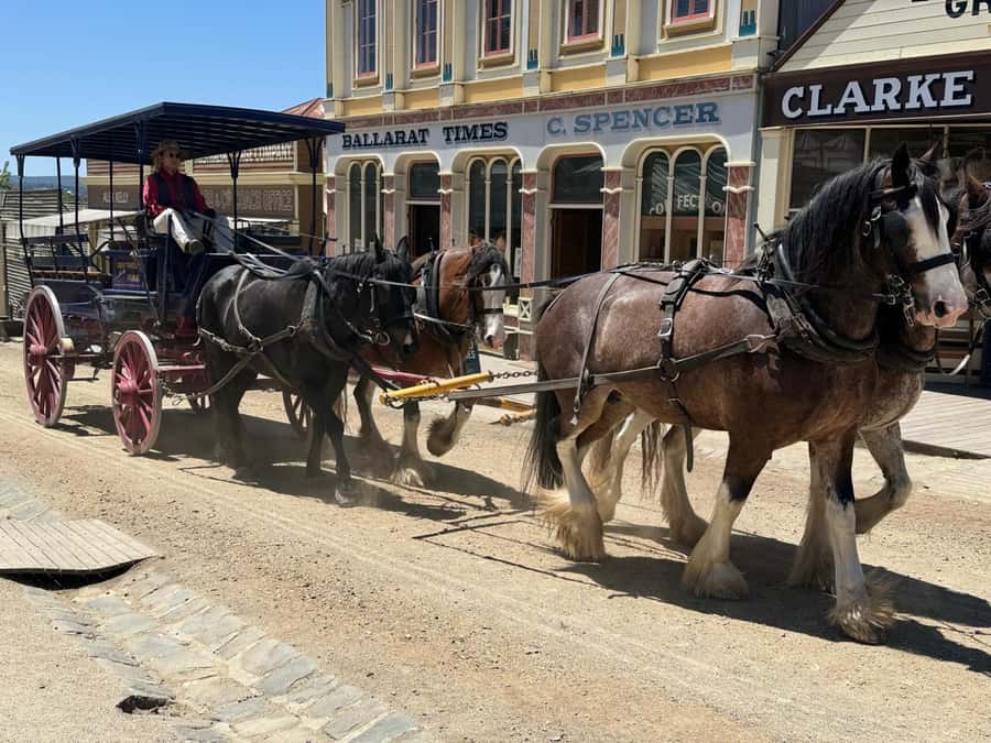 Private Ballarat Sovereign Hill Gold Mine Tours - St Anne’s Winery and the scenic “pause” stops that prevent burnout