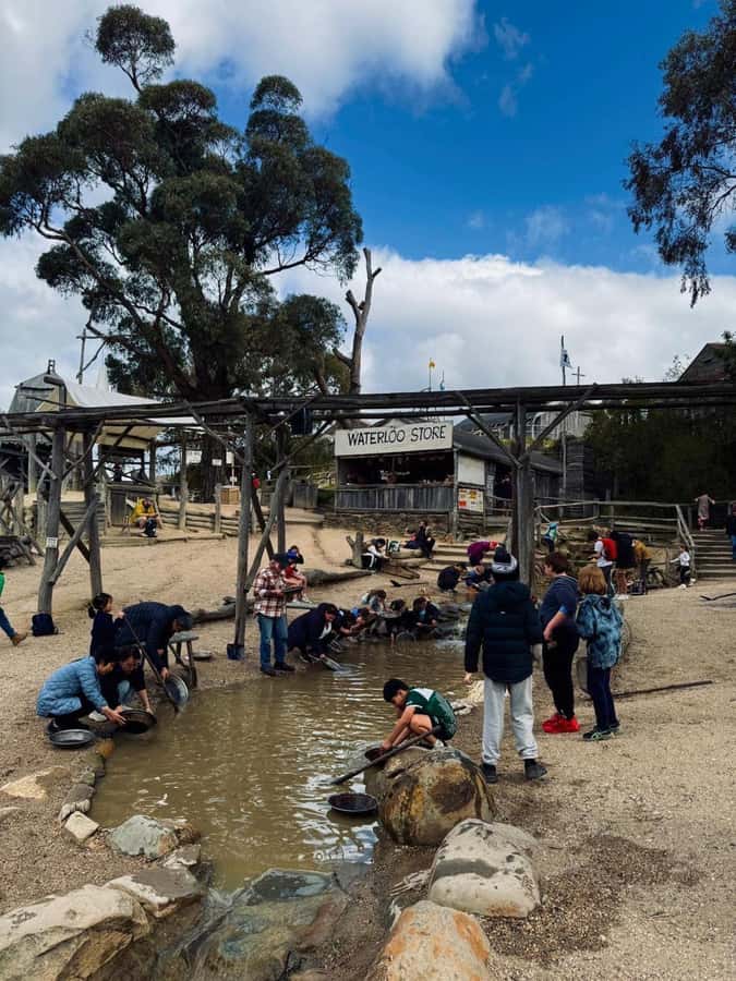 Private Ballarat Sovereign Hill Gold Mine Tours - Ballarat Botanical Gardens and Lake Wendouree: time for walking and photos