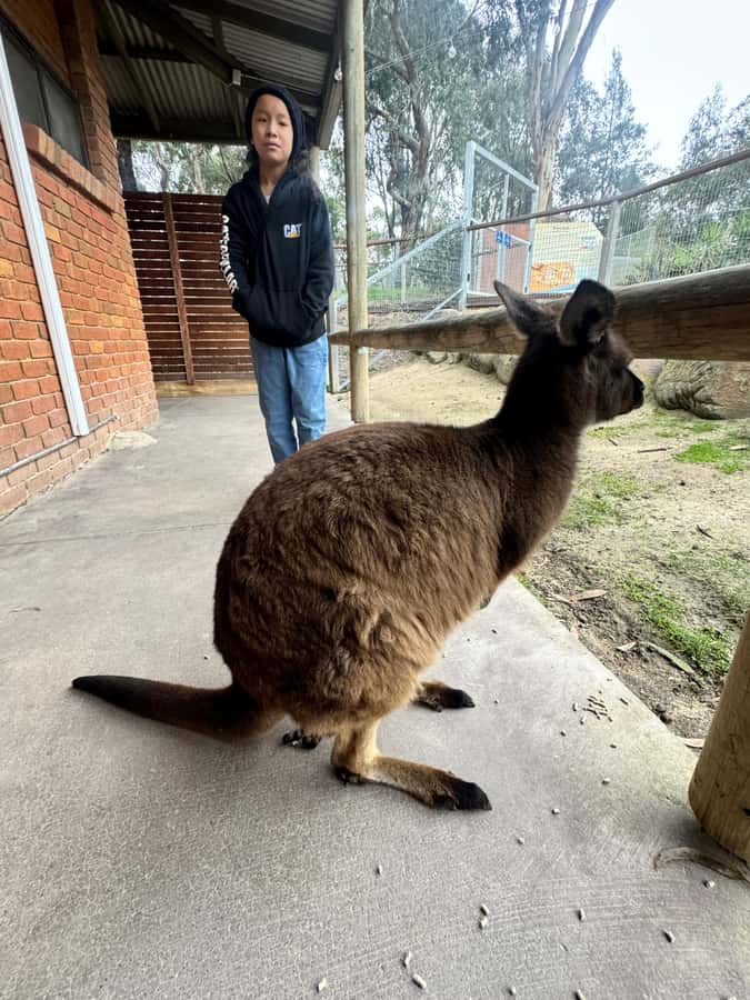 Private Ballarat Sovereign Hill Gold Mine Tours - Chocolate and shopping breaks: where the day gets real-life easy