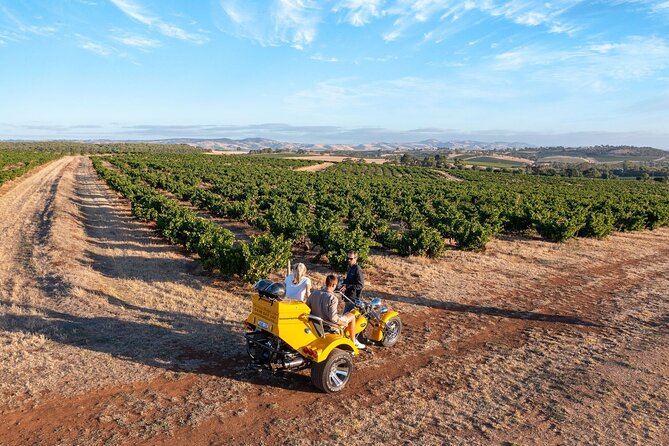 Private Barossa's Best Sightseeing Tour for Two - Why the Barossa looks different from a yellow trike