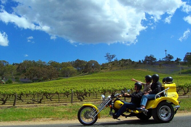 Private Barossa's Best Sightseeing Tour for Two - Stop 3: Seppeltsfield Wines guided village walk (10 minutes of iconic character)