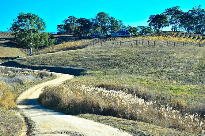 Private Blue Mountains and Winery Day-Trip from Sydney - Wentworth Falls Lookout: Easy Walking, Big Water Energy