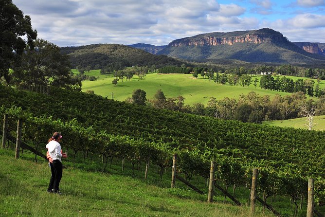 Private Blue Mountains and Winery Day-Trip from Sydney - Choosing the Best Blue Mountains Viewpoints (Weather-Driven)
