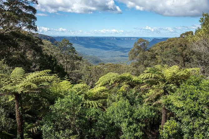Private Blue Mountains Day Tour (avoid the crowds) - Scenic World choices: CableWay, SkyWay, and the 52-degree railway
