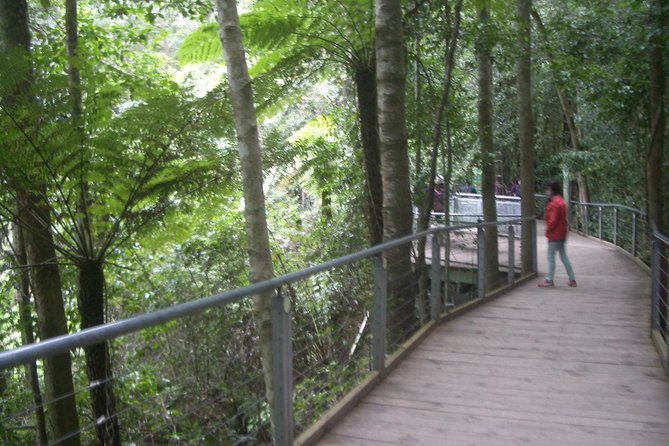 PRIVATE Blue Mountains day tour with local guide. - Featherdale Sydney Wildlife Park: A Friendly Way to Start the Day