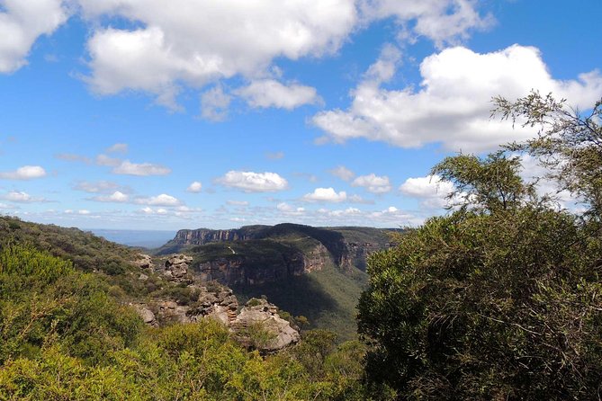 Private Blue Mountains Insider Tour from Sydney - A private Blue Mountains day that actually feels like a day