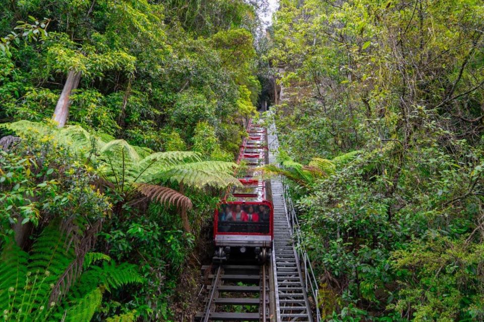 Private Blue Mountains, Scenic World & Wentworth Falls Tour - What You’re Really Paying For: Value Behind the $884 Private Price